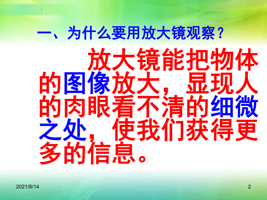 六年级科学放大镜ppt