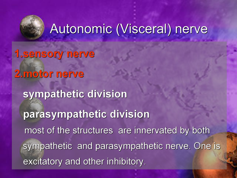 人体解剖学自主神经系统autonomicnervoussystem