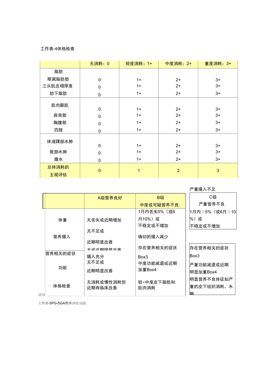 营养评定量表pgsga