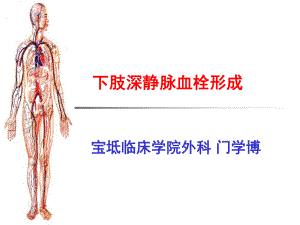 下肢深靜脈血栓講課