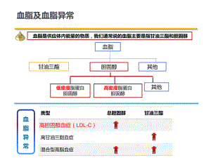 高脂血癥患者教育ppt課件