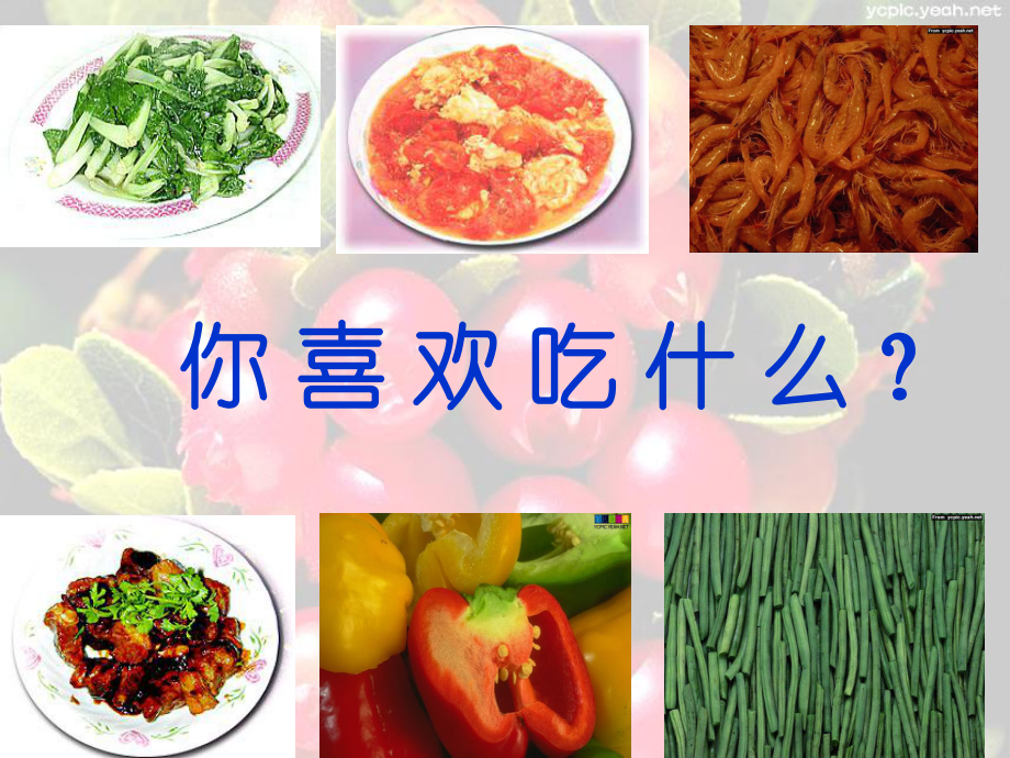 第八課《不挑食不偏食》.ppt_第1頁