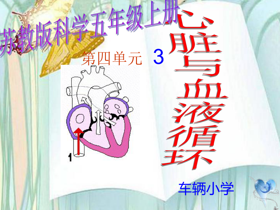 《心脏和血液循环》PPT课件.ppt_第1页