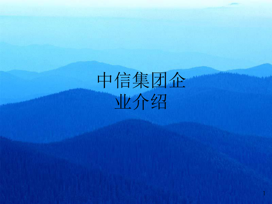 中信集團(tuán)企業(yè)介紹.ppt_第1頁