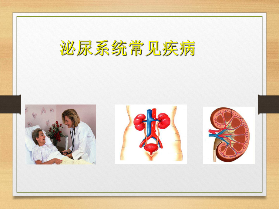 腎內(nèi)科基礎(chǔ)知識(shí)及識(shí)記重點(diǎn).ppt_第1頁