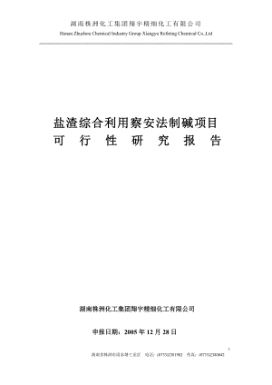 鹽渣綜合利用項目可行性研究報告文字模板.doc