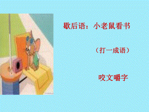 《咬文嚼字》公開(kāi)課.ppt