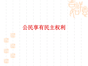 《依法行使民主權利》PPT課件.ppt