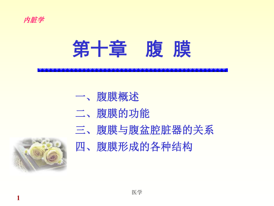 《正常人體解剖學》腹膜.ppt_第1頁