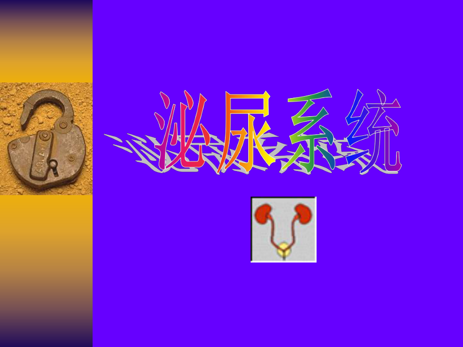 泌尿系統(tǒng)影像學(xué)檢查.ppt_第1頁(yè)