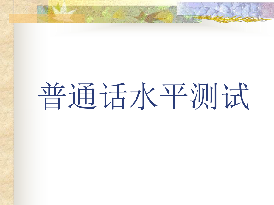 《普通話水平測試》PPT課件.ppt_第1頁