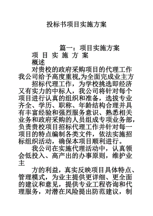 投標書項目實施方案.doc