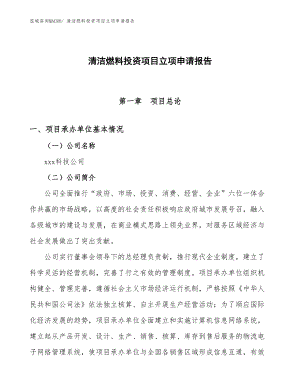 清潔燃料投資項目立項申請報告