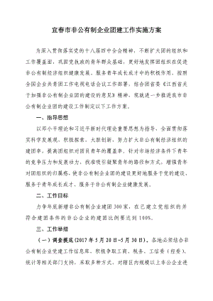 非公有制企業(yè)共青團(tuán)建設(shè)工作實(shí)施方案