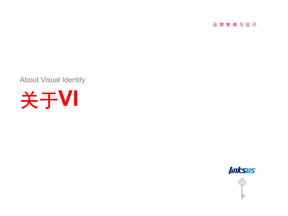 關(guān)于VI系統(tǒng)的培訓(xùn)資料.ppt_第1頁