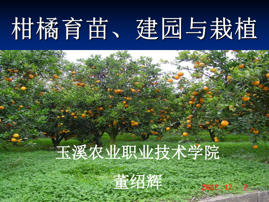 d果樹育苗建園栽植技術(shù).ppt_第1頁