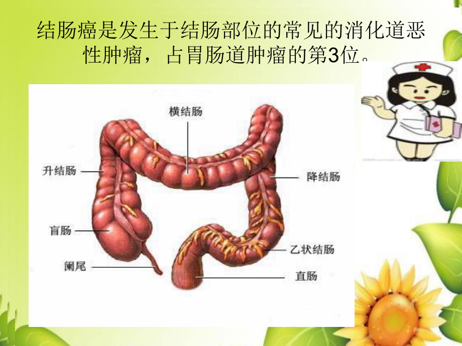 结肠癌病例讨论ppt课件