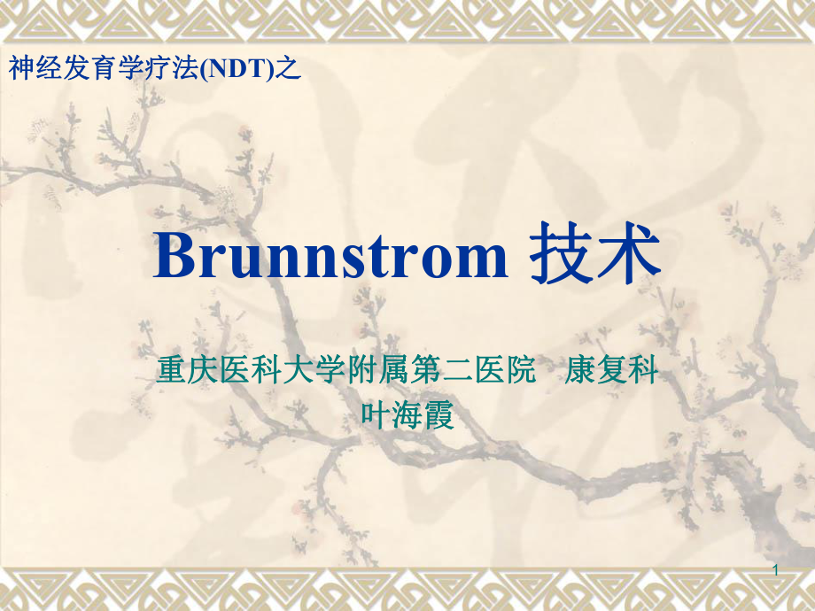 Brunnstrom 技術(shù)ppt課件_第1頁