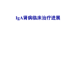 iga腎病臨床治療新進(jìn)展PPT課件.ppt