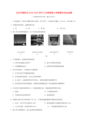 北京市朝陽區(qū)2018_2019學(xué)年八年級(jí)物理上學(xué)期期末考試試題.docx