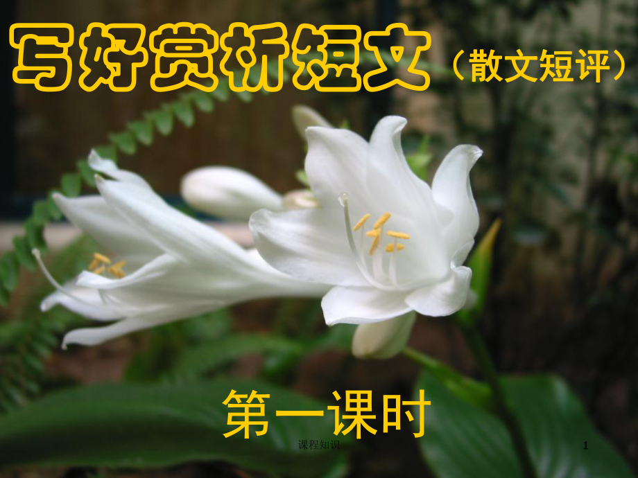 寫好散文短評(píng)[特制材料]_第1頁