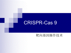 CRISPR Cas9ppt課件