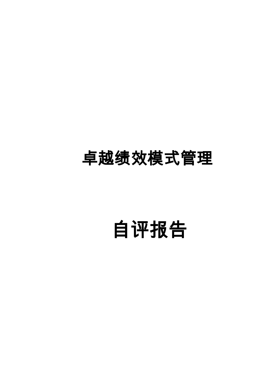 卓越绩效模式区长市长质量奖自评报告.docx_第1页