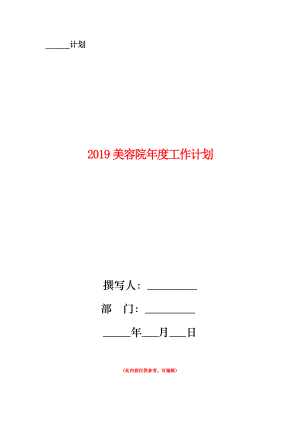 2019美容院年度工作計劃.doc