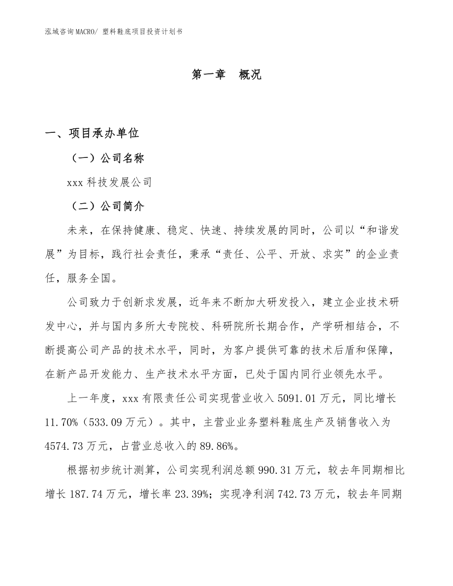 塑料鞋底項目投資計劃書_第1頁