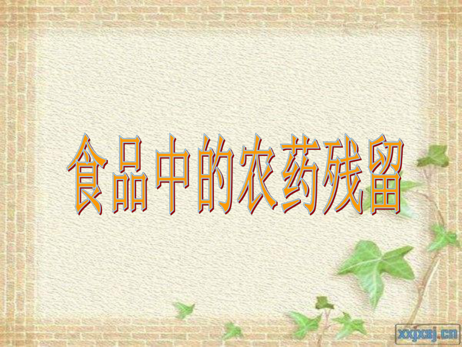 《食品中的农药残留》PPT课件.ppt_第1页