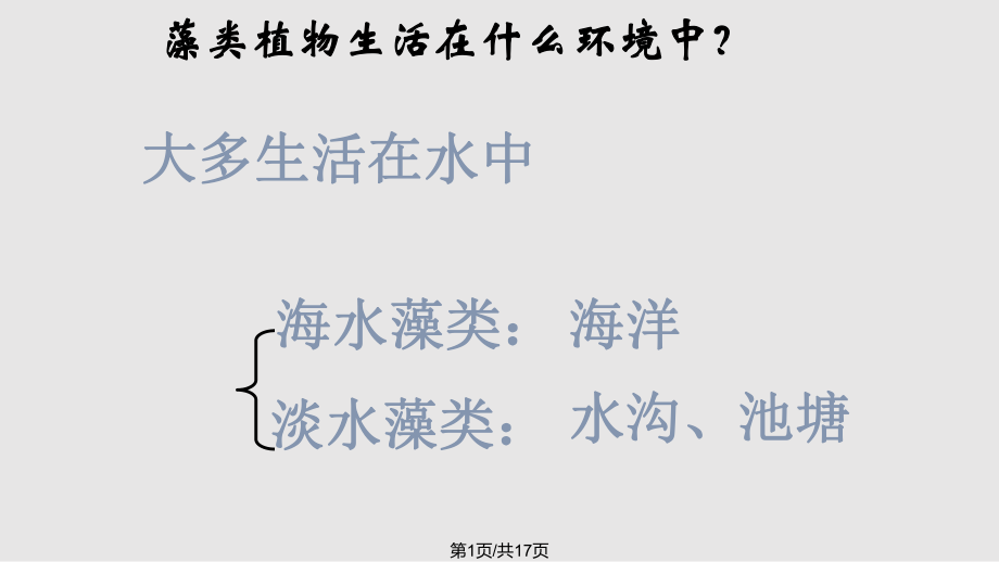 苏科七年级下册水中的藻类植物PPT课件_第1页