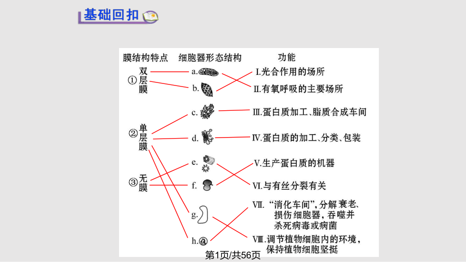 高中生物細胞器 系統(tǒng)內(nèi)的分工合作 新人教必修PPT課件_第1頁