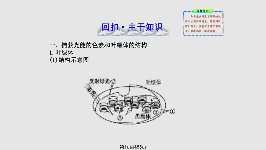 高考一轮生物复习能量之源——光与光合作用人教PPT课件_第1页