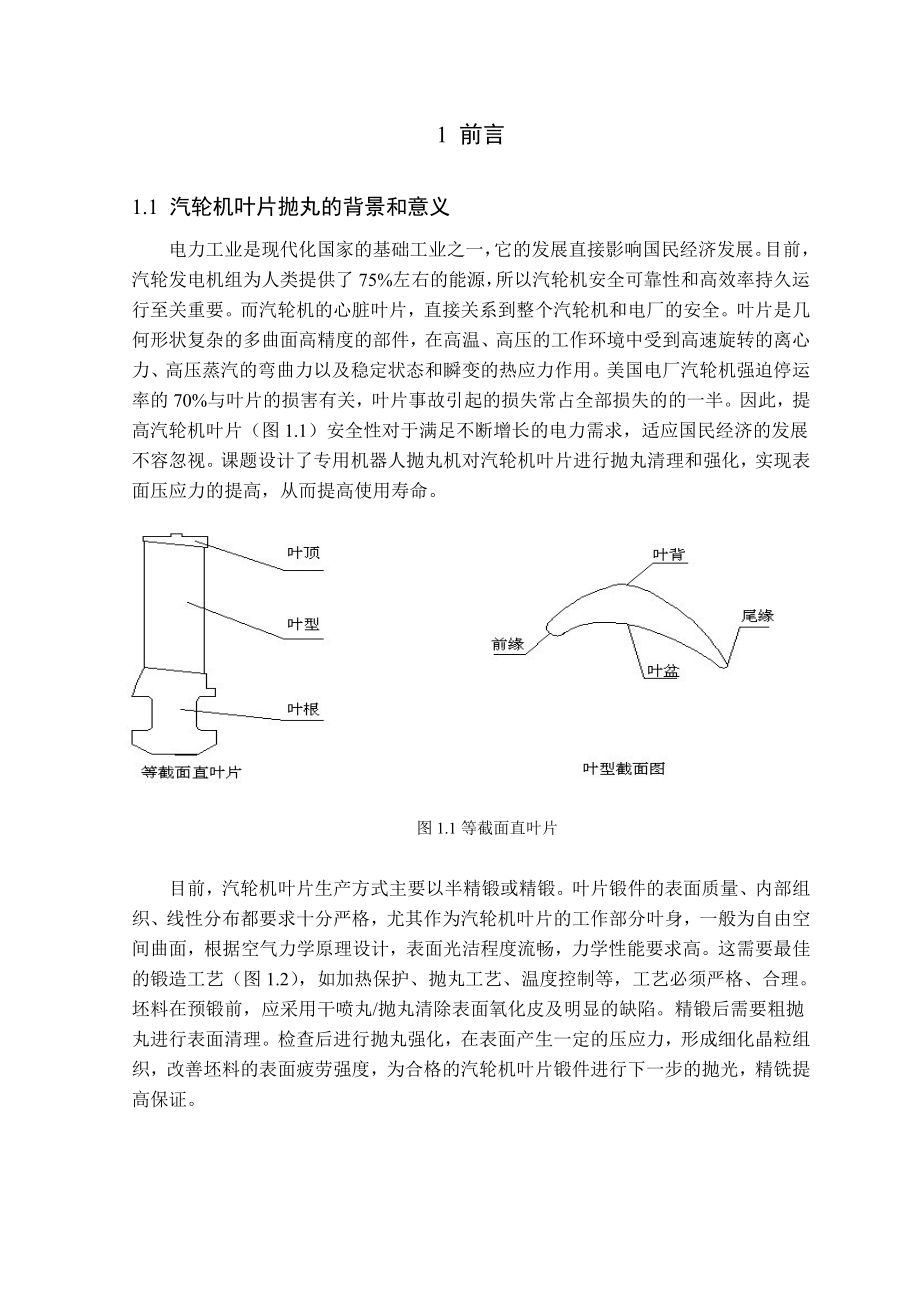 發(fā)電機組汽輪機葉片表面拋丸清理工藝與設(shè)備設(shè)計說明書_第1頁