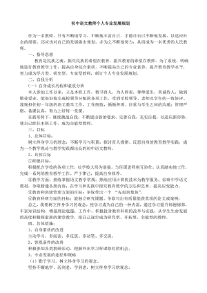 初中語文教師個(gè)人專業(yè)發(fā)展規(guī)劃.doc