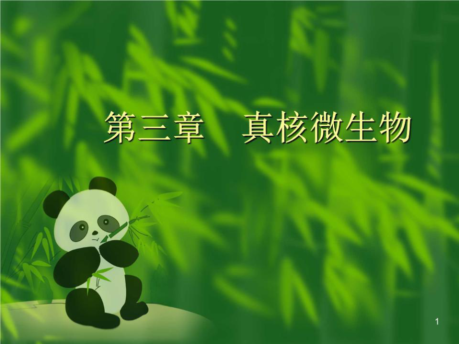 《真核微生物 》PPT課件.ppt_第1頁(yè)