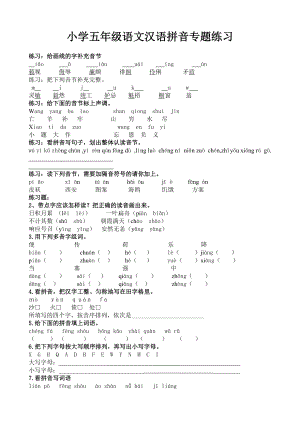 小學(xué)五年級(jí)語文漢語拼音專題練習(xí).doc