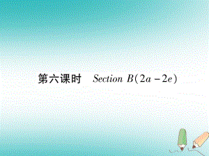 九年級英語全冊 Unit 8 It must belong to Carla（第6課時）Section B（2a-2e）習題 （新版）人教新目標版