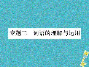 九年級(jí)語(yǔ)文上冊(cè) 2 詞語(yǔ)的理解與運(yùn)用習(xí)題 新人教版