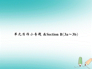 九年級(jí)英語全冊(cè) Unit 3 Could you please tell me where the restrooms are寫作小專題習(xí)題 （新版）人教新目標(biāo)版