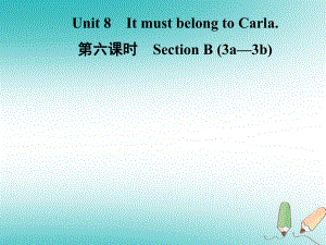 九年級(jí)英語全冊(cè) Unit 8 It must belong to Carla（第6課時(shí)）Section B（3a-3b） （新版）人教新目標(biāo)版