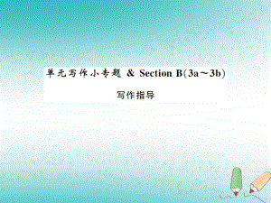 九年級英語全冊 Unit 10 You’re supposed to shake hands寫作小專題習題 （新版）人教新目標版