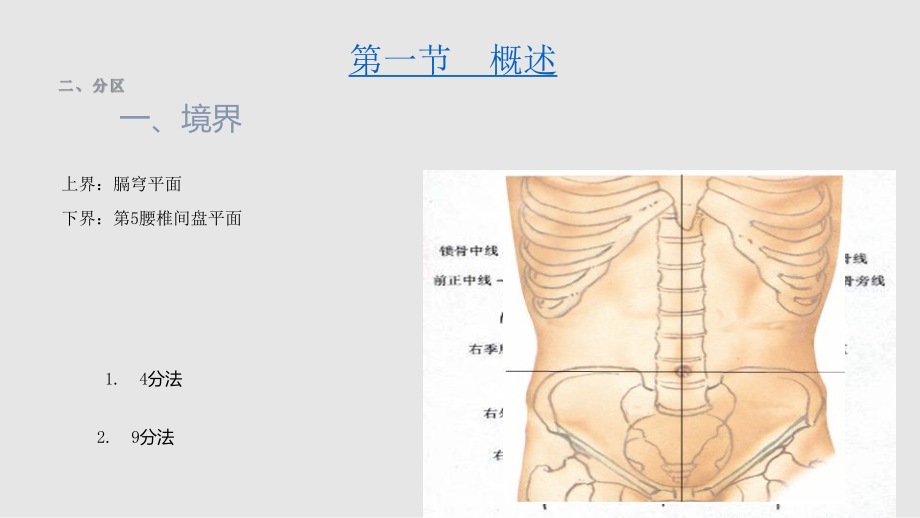 腹部断面解剖与PPT课件_第1页