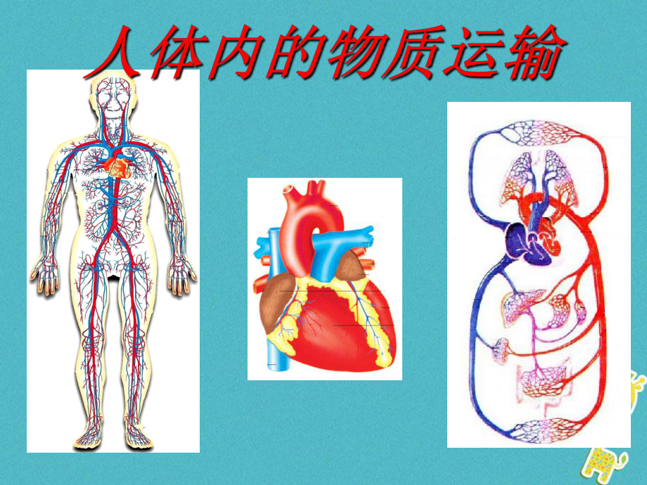 七年級(jí)生物下冊(cè) 第四章《人體內(nèi)物質(zhì)的運(yùn)輸》 （新版）新人教版_第1頁(yè)