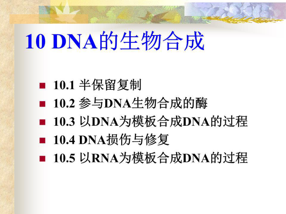 《DNA的生物合成》PPT課件.ppt_第1頁