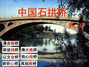 四川省華鎣市八年級(jí)語(yǔ)文上冊(cè) 11 中國(guó)石拱橋課件 新人教版