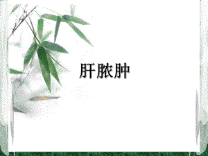 肝膿腫醫(yī)學(xué)PPT