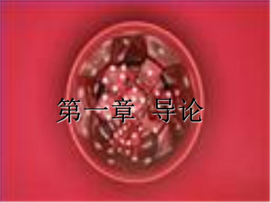 《導(dǎo)輪導(dǎo)論》PPT課件.ppt_第1頁