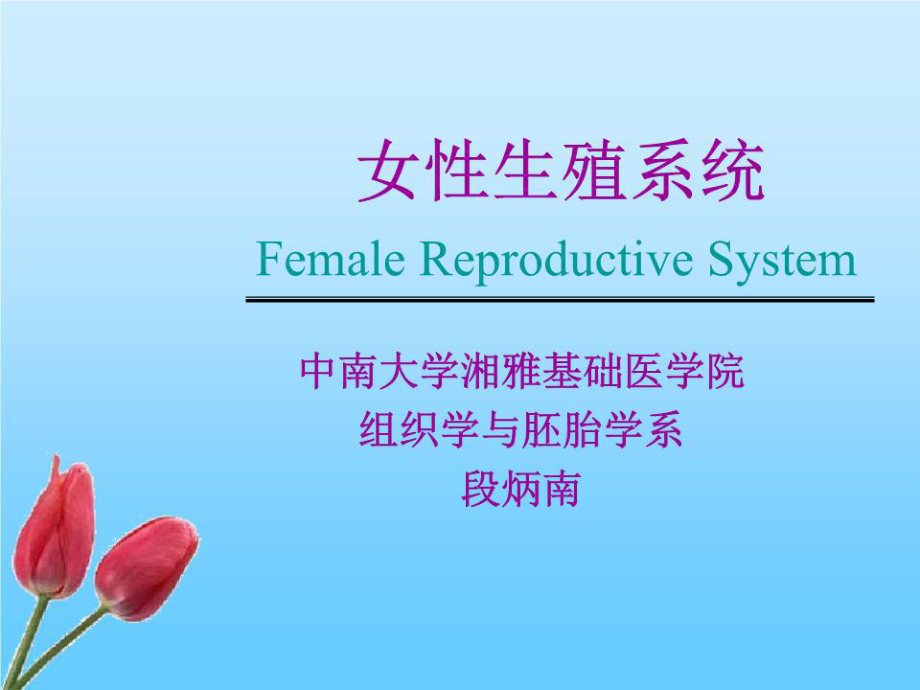 《女性生殖系统》PPT课件.ppt_第1页