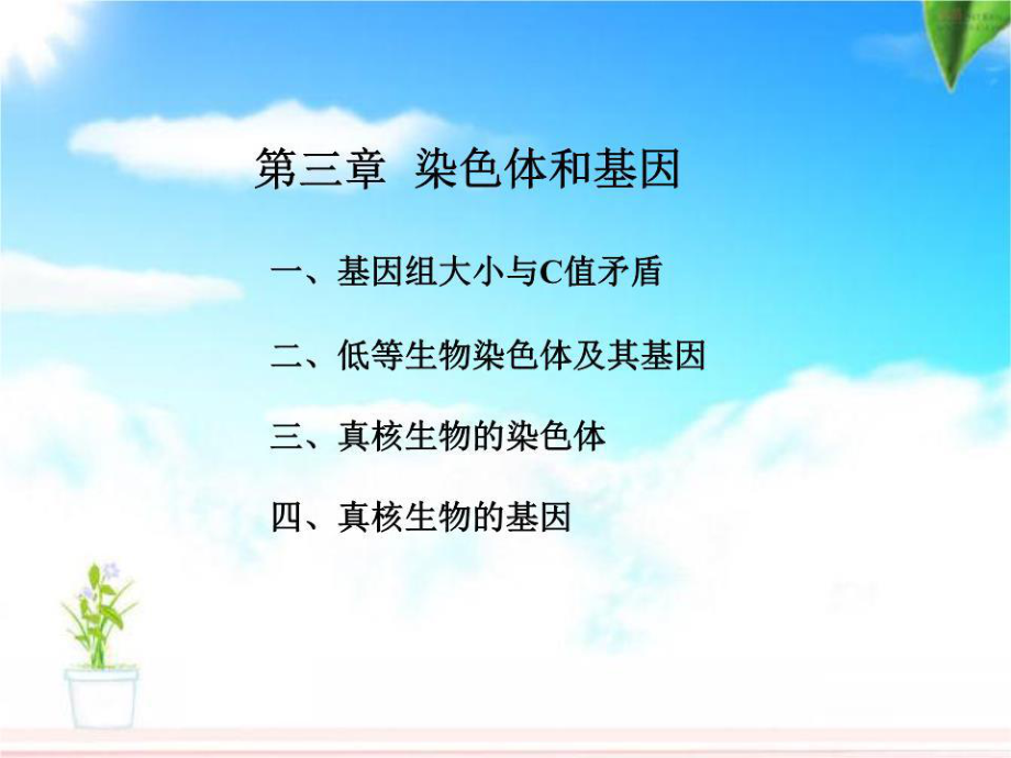 《染色體與基因》課件.ppt_第1頁